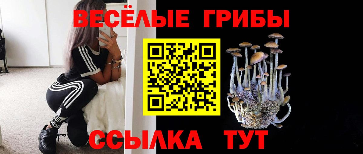 Галлюциногенные грибы Magic Shrooms  Вход с VPN  Усть-Джегута 
