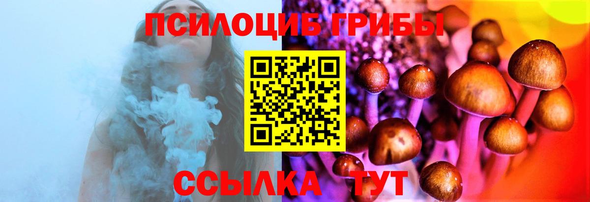Галлюциногенные грибы Psilocybine cubensis Усть-Джегута